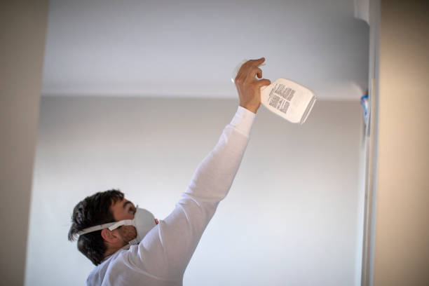 Best Mold Testing  in Gainesville, VA